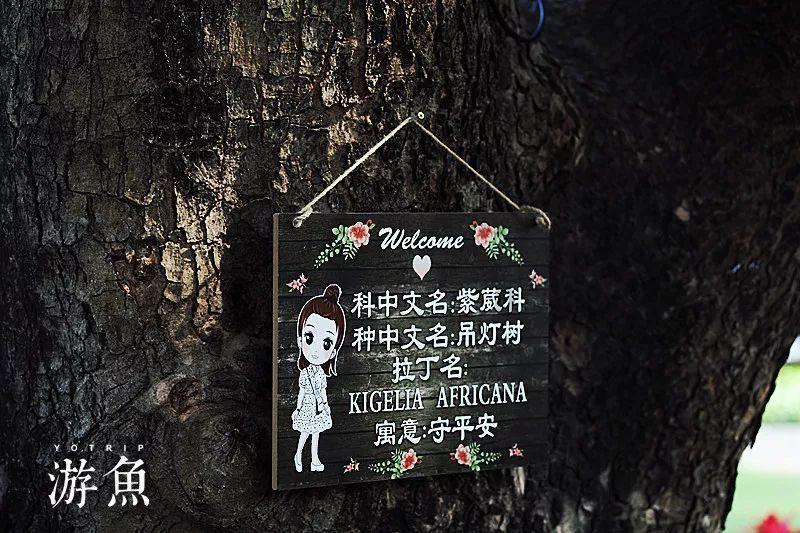 美育盛宴!莲湖教育这场文艺汇演令人赞叹
